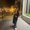 Photo of Amy M.