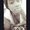 Photo of Keundra T.