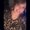 Photo of Shiloh B.