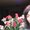 Photo of Poonam P.