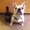 Photo of Keli S.