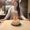 Photo of Jovita D.