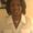 Photo of Kimberly A.