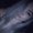 Photo of Angie K.