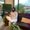 Photo of Jazmin M.