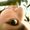 Photo of Jovy M.