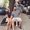Photo of Jacalyn S.