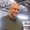 Photo of John L.