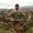 Photo of Jamel H.