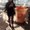 Photo of Mingxi L.