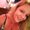 Photo of Melissa C.
