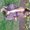 Photo of Crys P.