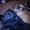 Photo of Drea P.