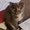 Photo of Lucyann L.