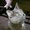Photo of Donna C.