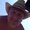 Photo of Neil S.