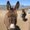 Photo of Jack P.