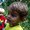 Photo of Robin T.