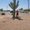 Photo of Indre B.