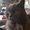 Photo of Joann M.