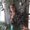Photo of Rebekah P.