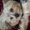 Photo of Londa L.