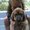 Photo of Karen T.