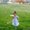 Photo of Shweta Tyler R.
