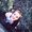Photo of Jaycee S.