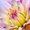 Photo of Qype User (rajs…)
