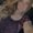Photo of Rachel P.
