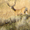 Photo of Jon S.
