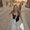 Photo of Katie D.