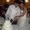Photo of Qype User (mrsa…)
