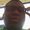 Photo of Domo I.