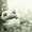 Photo of Anh L.