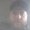 Photo of Donald S.