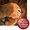 Photo of Qype User (Fredal…)