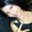 Photo of Patrcia H.