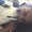 Photo of Faizan D.