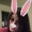Photo of Lisa S.