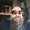 Photo of Ray B.