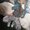 Photo of Qype User (suhail…)