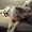 Photo of Gwendolyn H.