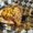 Photo of Ms. S.
