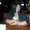 Photo of Latasha M.