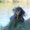 Photo of Mariia Z.