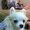 Photo of Thanh L.