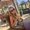 Photo of Kaitlyn P.