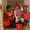 Photo of Shadi T.